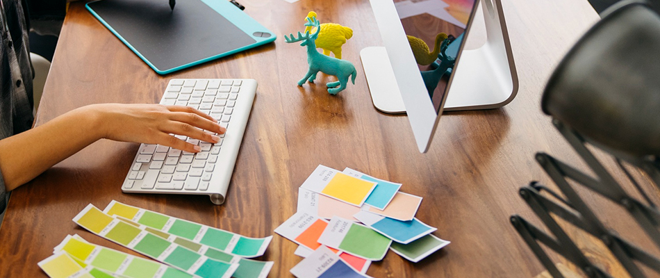 Where Can I Study Graphic Design? Detailed Information