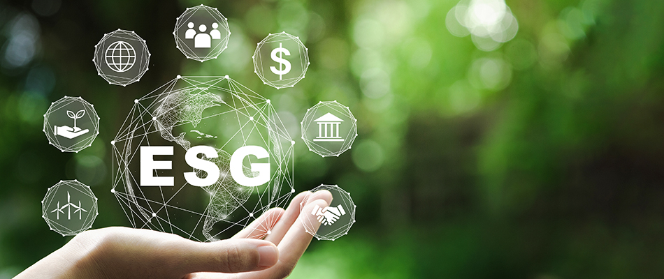 Understanding ESG Criteria: Main Concepts, Importance, and Challenges!