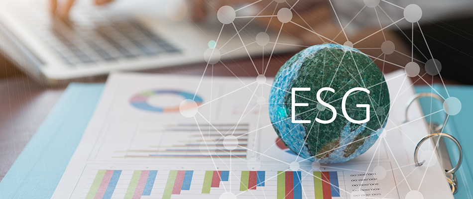 What Is an ESG Index