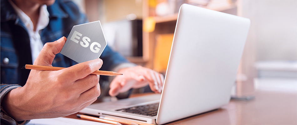 Developing a Strong ESG Structure