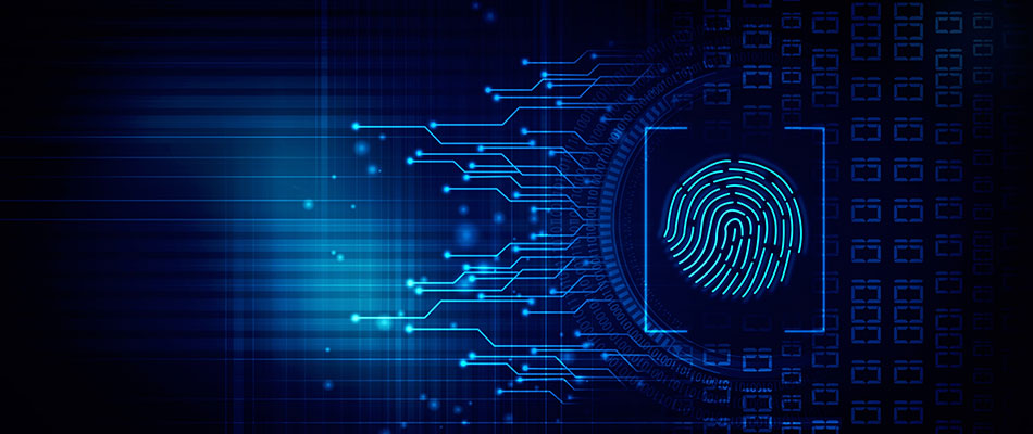 Learn What Is Digital Forensics | Explore Branches and Methods