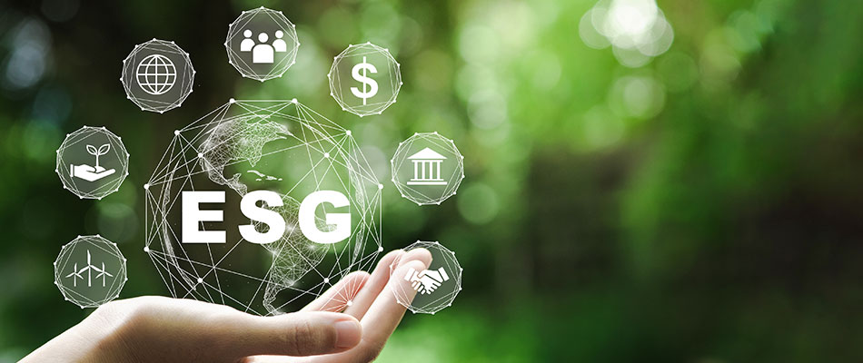 Best ESG Online Certification Course in Tanzania