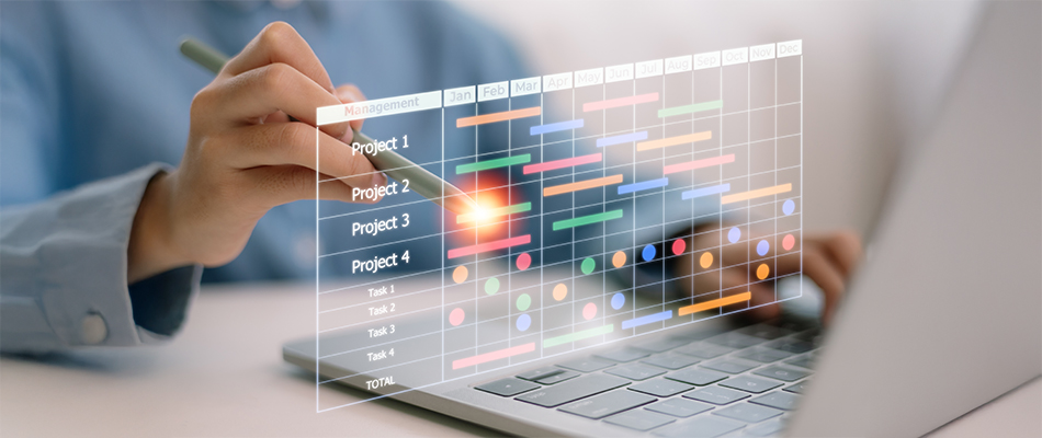 Project management career path in nigeria