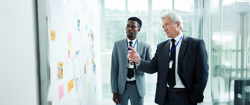 Project Management Career Path in Zimbabwe